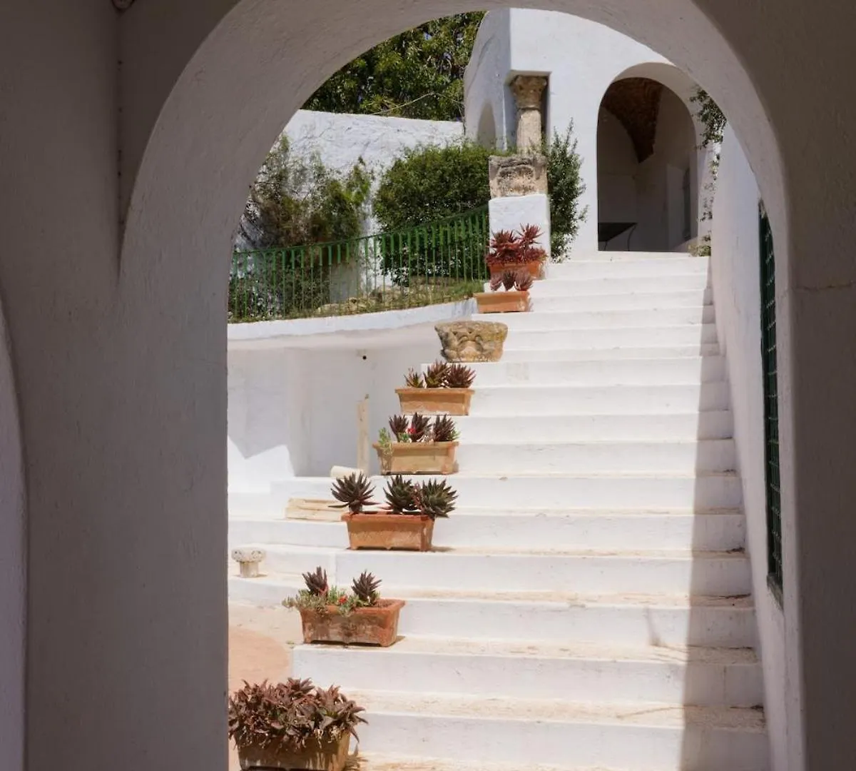 Princesse Aicha , Ladies Only , B&B & Piscine , Sidi Bou Said Tunis Lejlighed