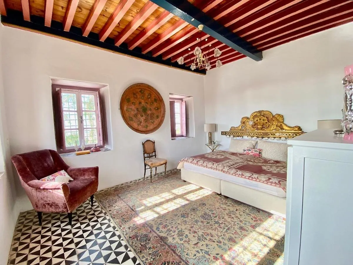 Apartment Princesse Aicha , Ladies Only , B&B & Piscine , Sidi Bou Said Tunis Tunisia