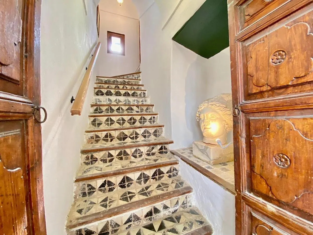 Princesse Aicha , Ladies Only , B&B & Piscine , Sidi Bou Said Tunis Apartment