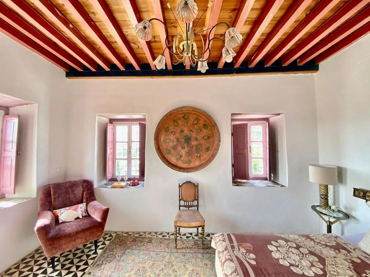 Apartment Princesse Aicha , Ladies Only , B&B & Piscine , Sidi Bou Said Tunis