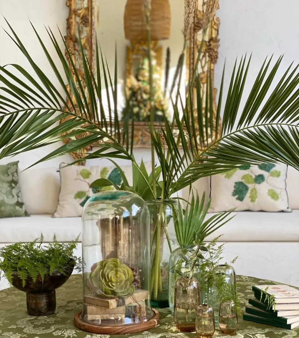 Apartment Princesse Aicha , Ladies Only , B&B & Piscine , Sidi Bou Said Tunis Tunisia