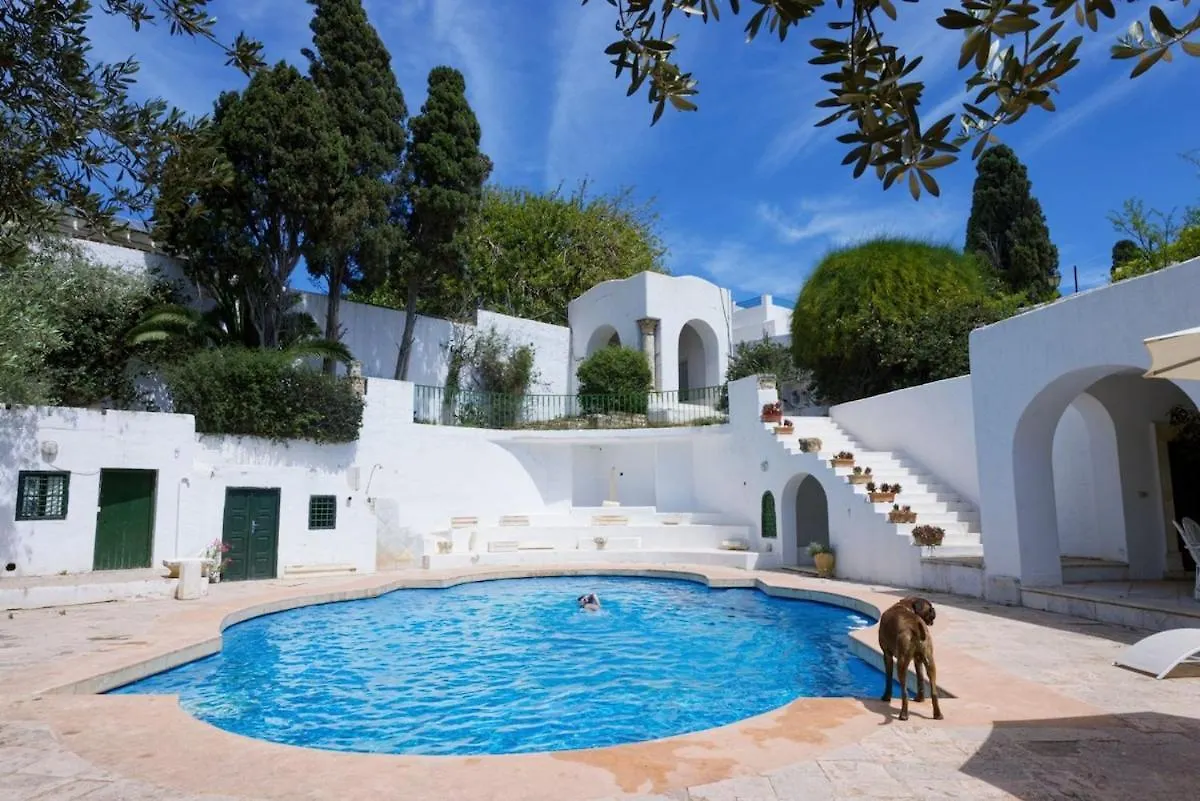 Apartment Princesse Aicha , Ladies Only , B&B & Piscine , Sidi Bou Said Tunis
