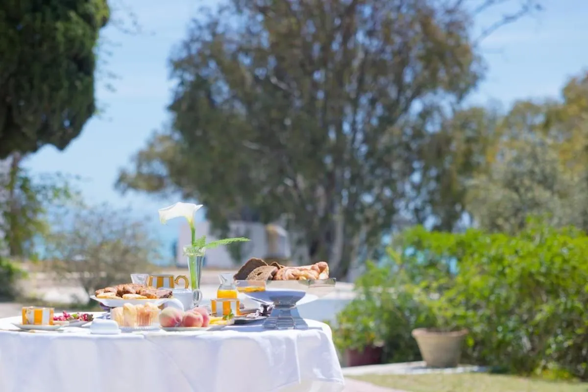 Princesse Aicha , Ladies Only , B&B & Piscine , Sidi Bou Said Tunis