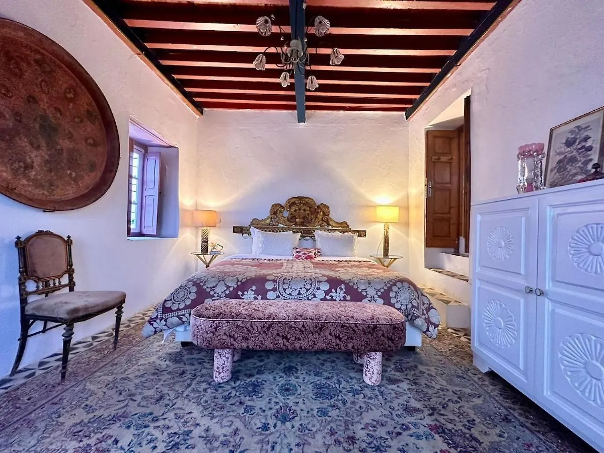 Princesse Aicha , Ladies Only , B&B & Piscine , Sidi Bou Said Tunis Apartment