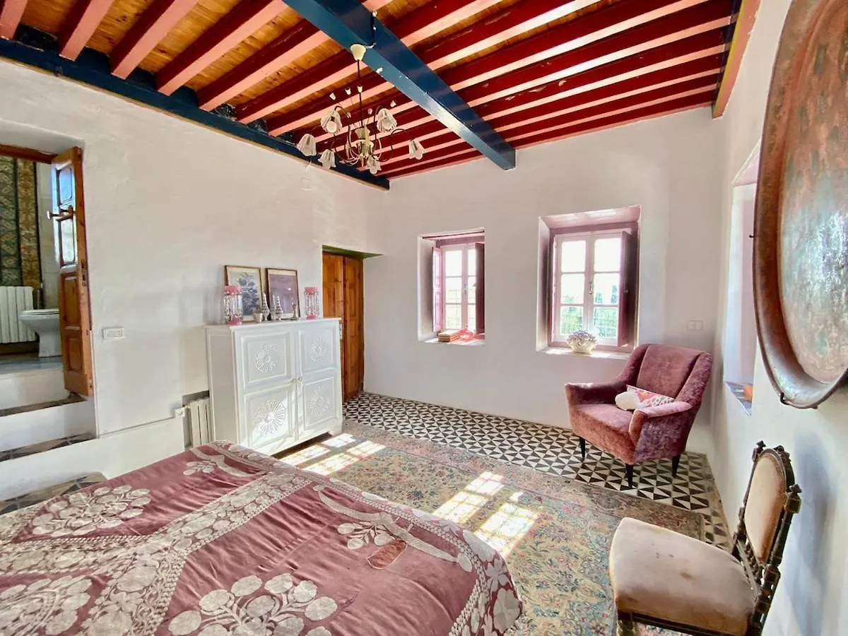 Princesse Aicha , Ladies Only , B&B & Piscine , Sidi Bou Said チュニス