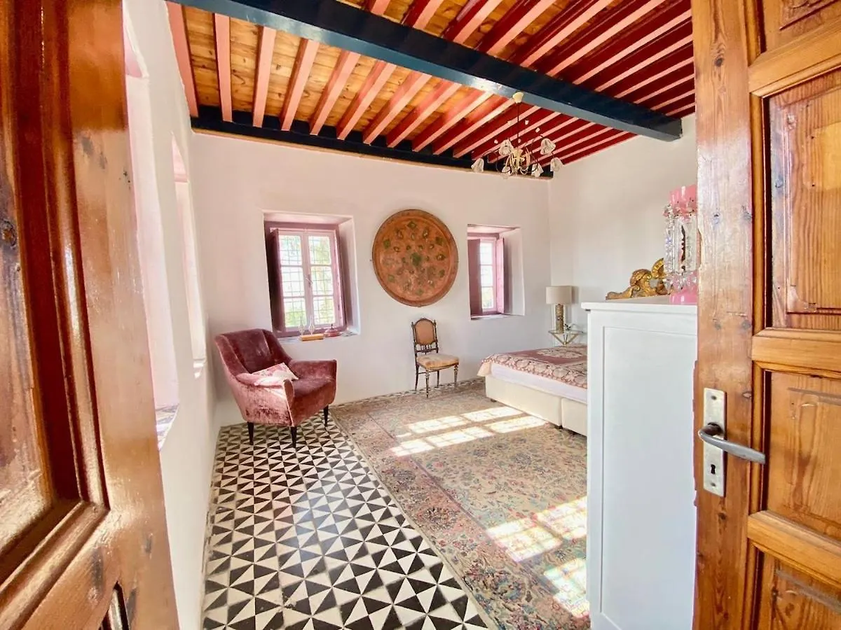 Princesse Aicha , Ladies Only , B&B & Piscine , Sidi Bou Said チュニス