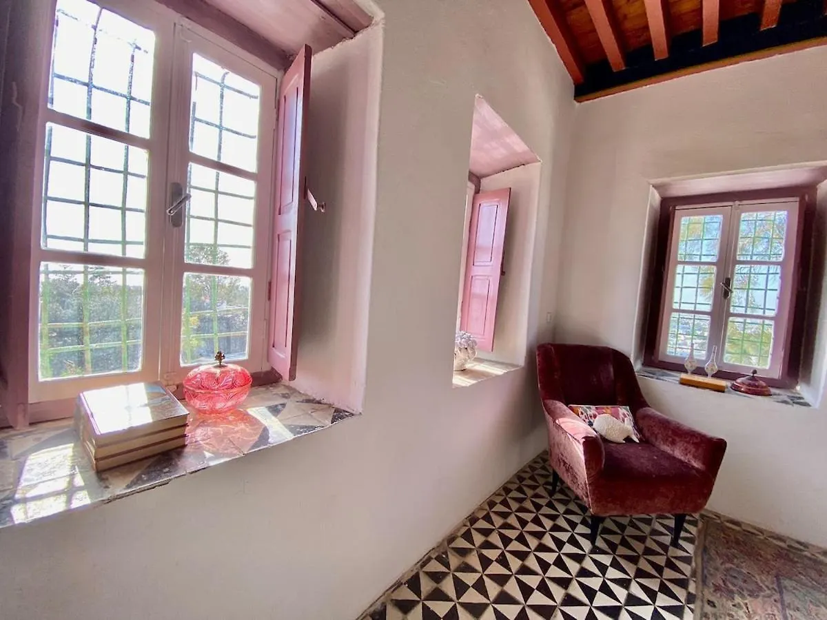 Princesse Aicha , Ladies Only , B&B & Piscine , Sidi Bou Said チュニス アパート